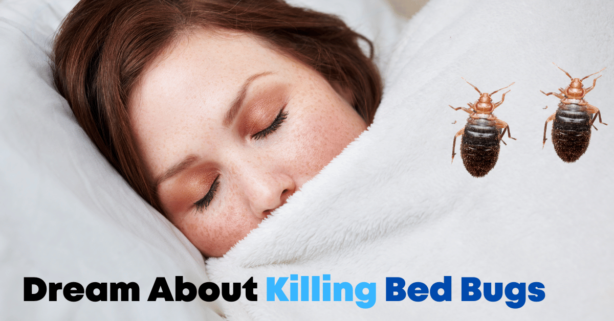 Dream About Killing Bed Bugs