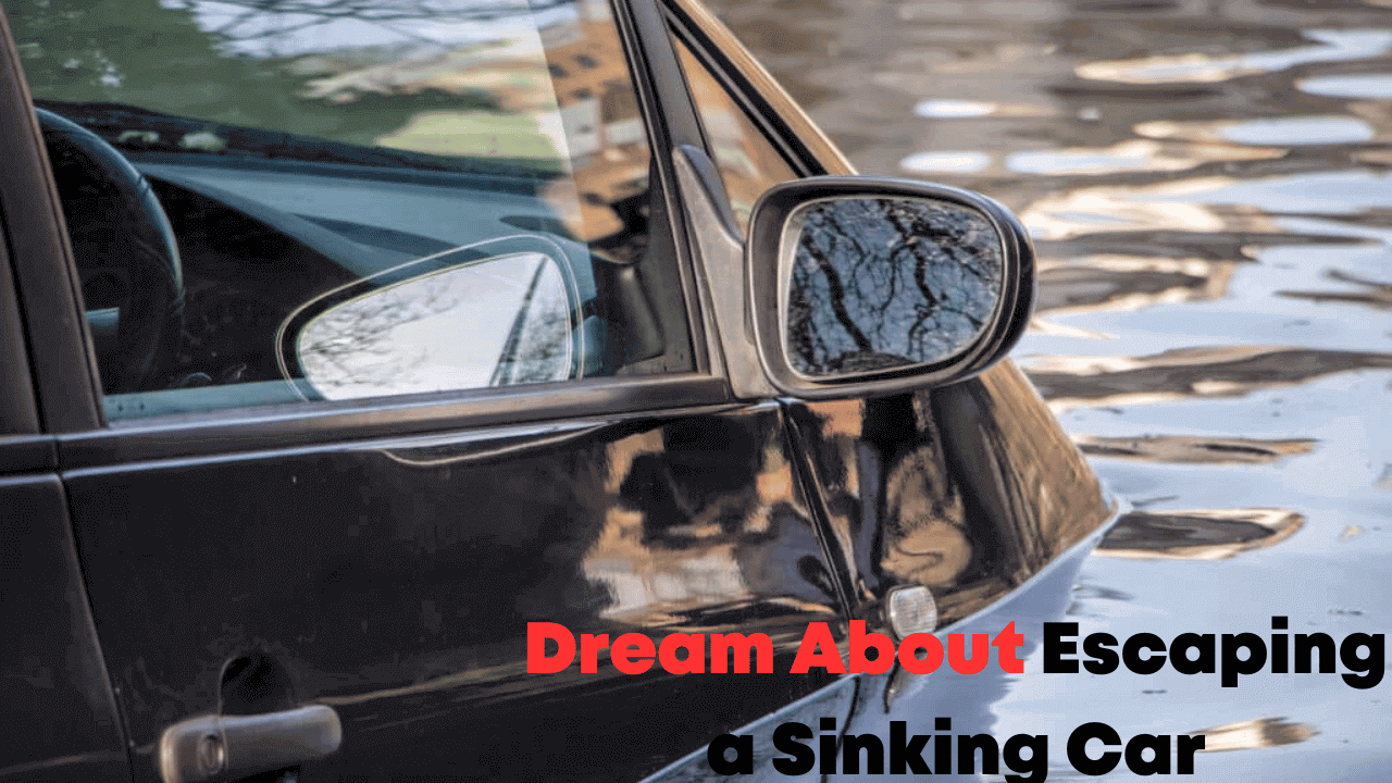 Dream About Escaping a Sinking Car