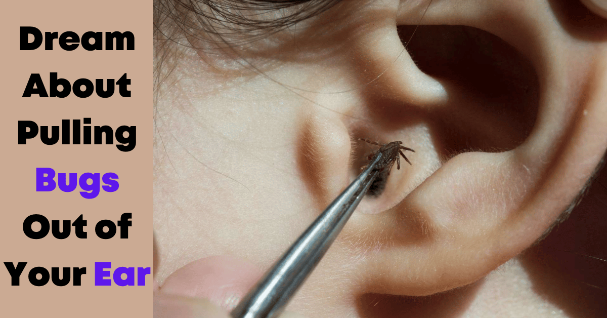 Dream About Pulling Bugs Out of Your Ear