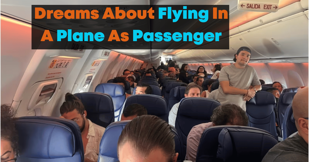 Dreams About Flying In A Plane As A Passenger