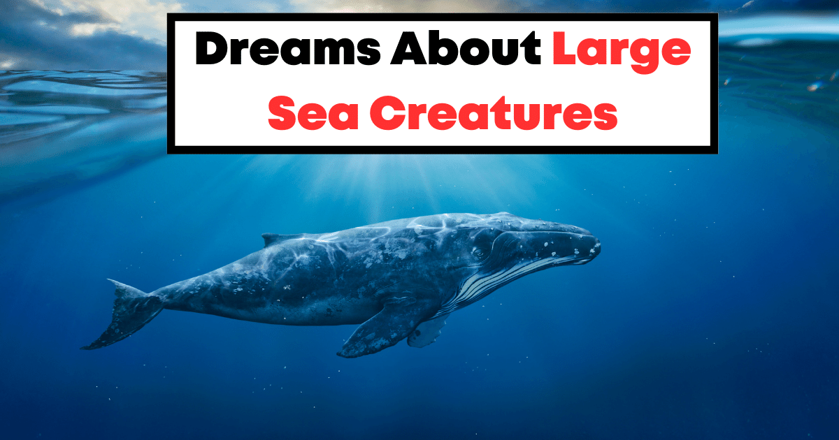 Dreams About Large Sea Creatures