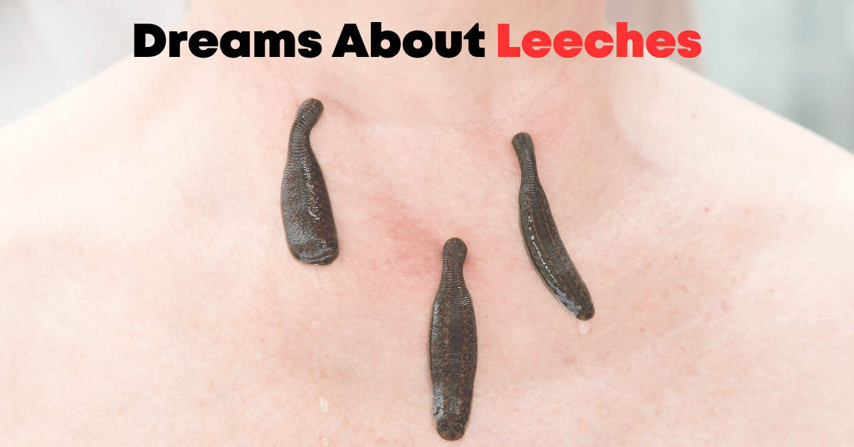 Dreams About Leeches