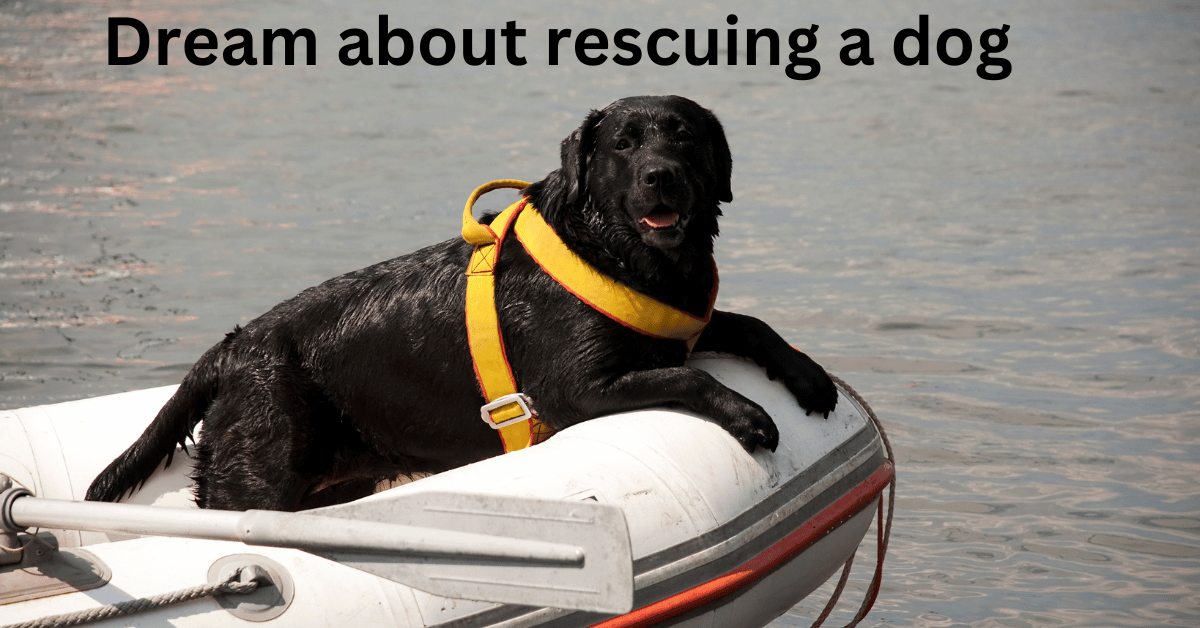 dream about rescuing a dog