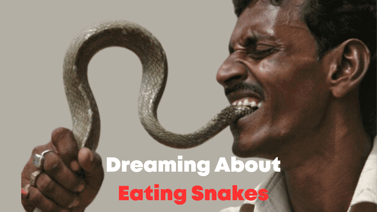 Dreaming About Eating Snakes