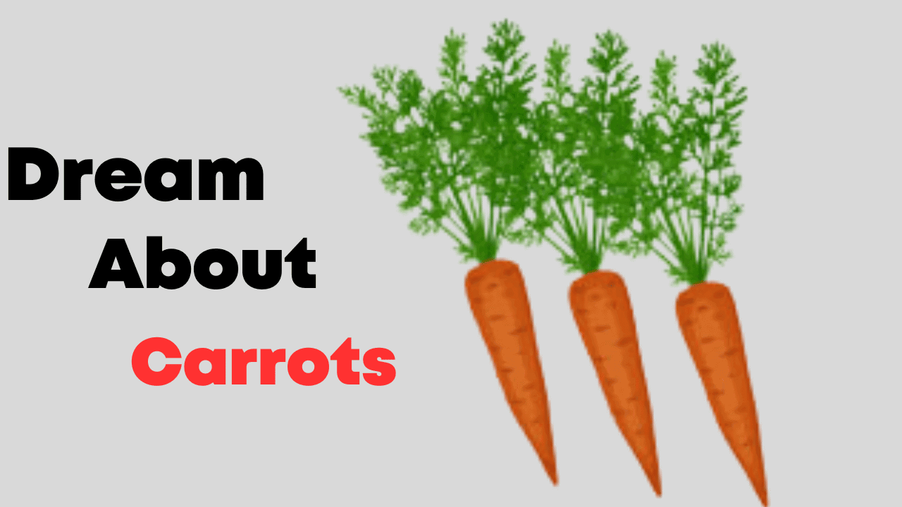 Dream About Carrots