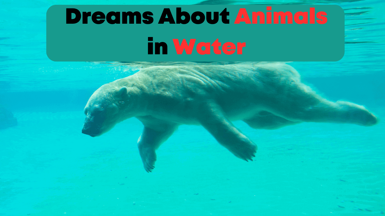 Dreams About Animals in Water