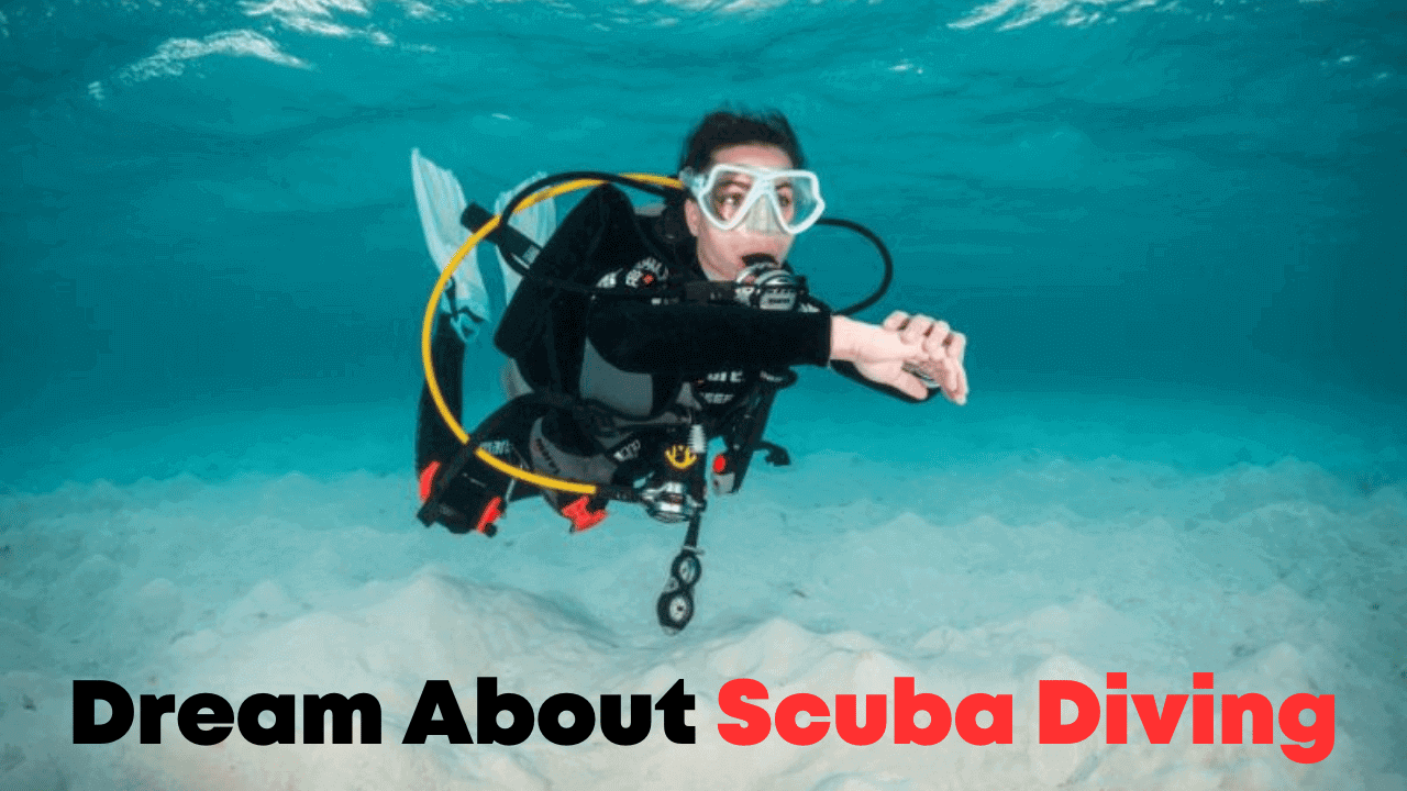 Dream About Scuba Diving