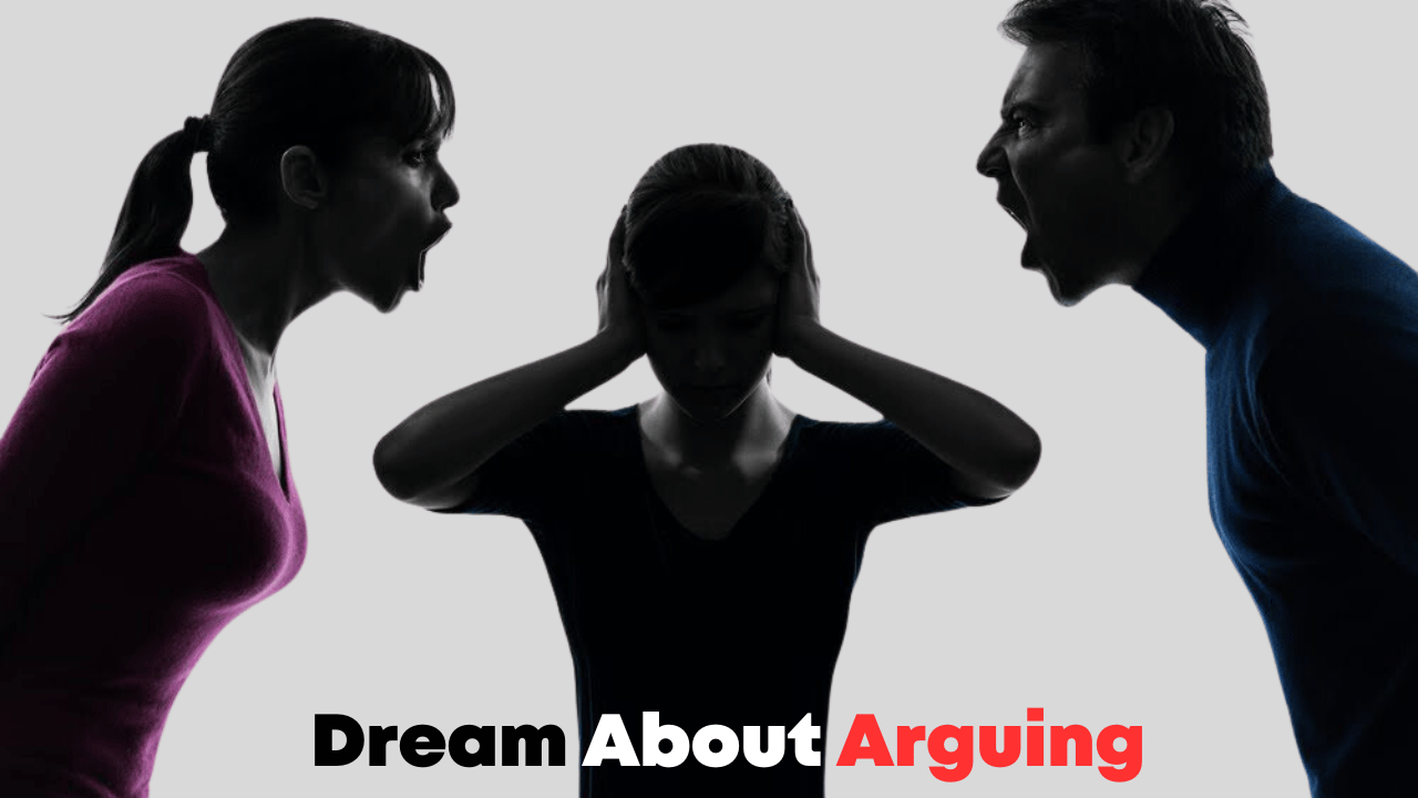 Dreams About Arguing