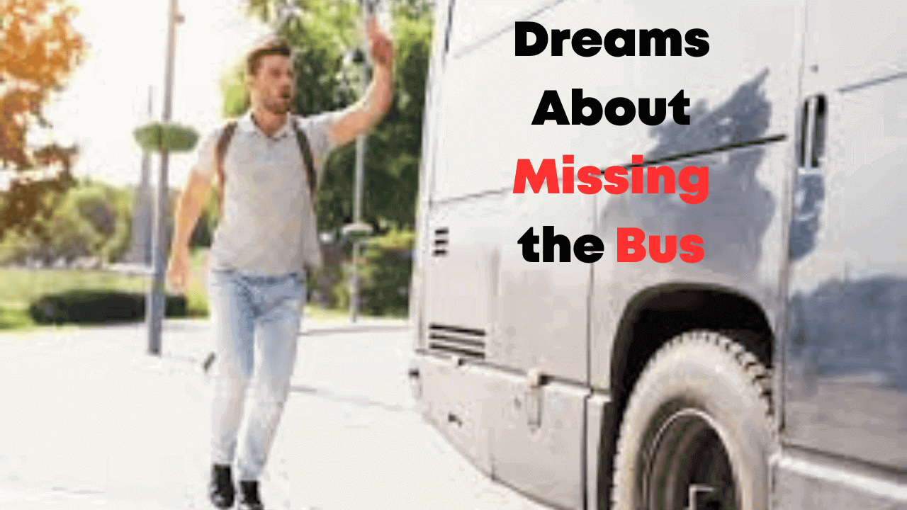 Dreams About Missing the Bus