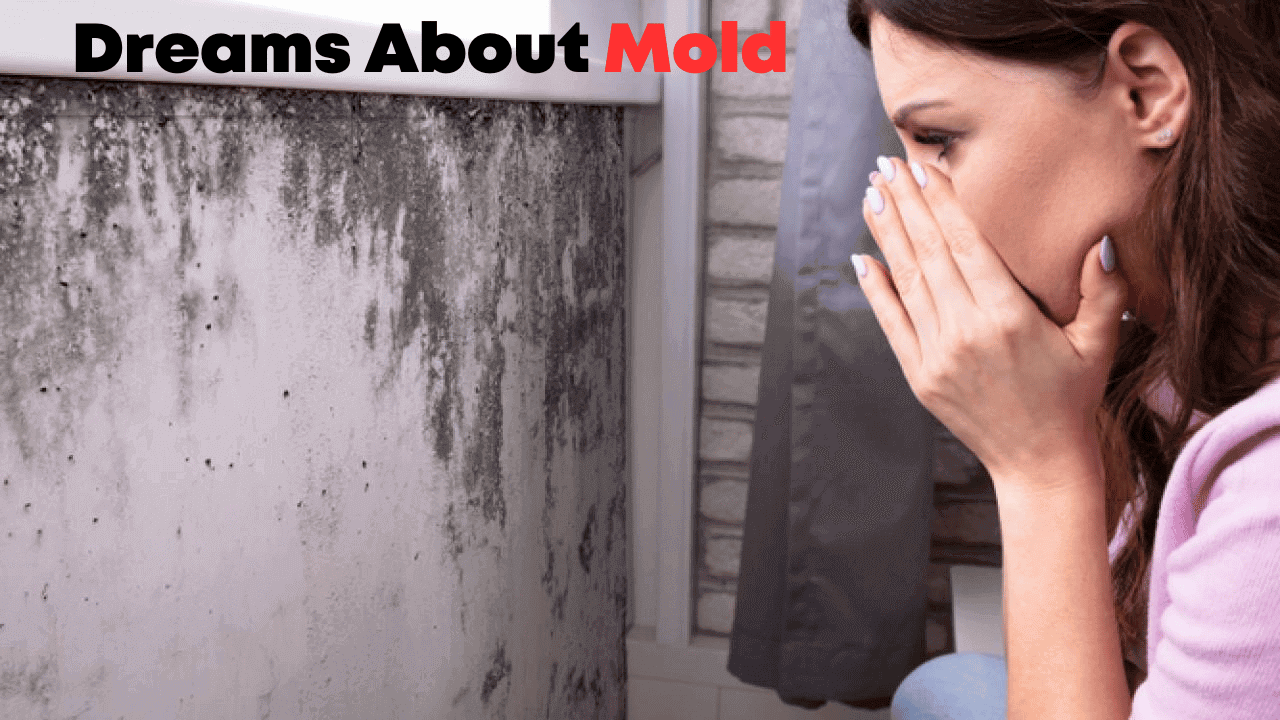 Dreams About Mold