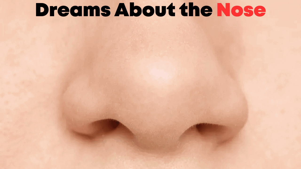 Dreams About the Nose